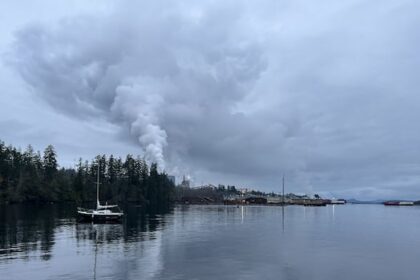 news-of-crofton-mill-closure-a-shock,-but-not-a-surprise,-to-cowichan-valley-residents-and-businesses