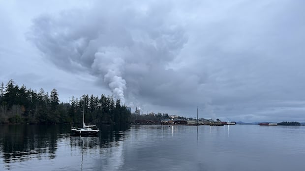 news-of-crofton-mill-closure-a-shock,-but-not-a-surprise,-to-cowichan-valley-residents-and-businesses