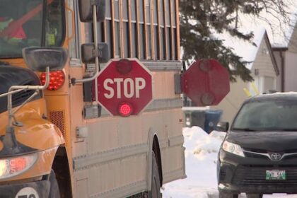 opposition-pcs-pitch-mandatory-seatbelt-use-on-new-manitoba-school-buses