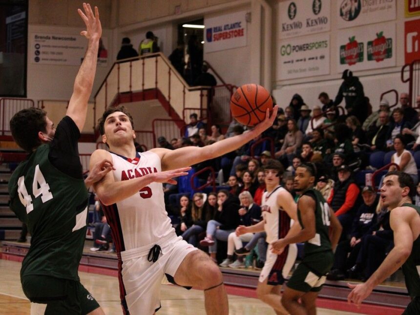 aus-basketball:-acadia’s-teams-gunning-for-return-to-championship-glory
