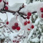 midwinter-like-chill-on-the-way-for-the-maritimes