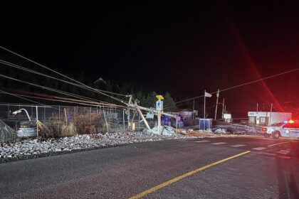 woman-fleeing-police-early-morning-thursday-crashed-her-car-into-a-playground,-down-power-lines-and-caused-a-road-closure