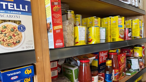 more-families-with-children-relying-on-food-banks:-harvest-manitoba-report