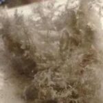 manitoba-updates-asbestos-regulations,-including-workers’-certification,-employer-registration