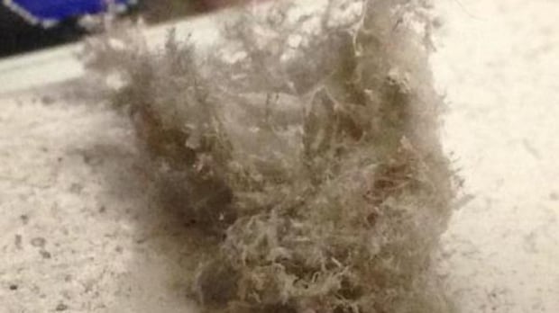 manitoba-updates-asbestos-regulations,-including-workers’-certification,-employer-registration