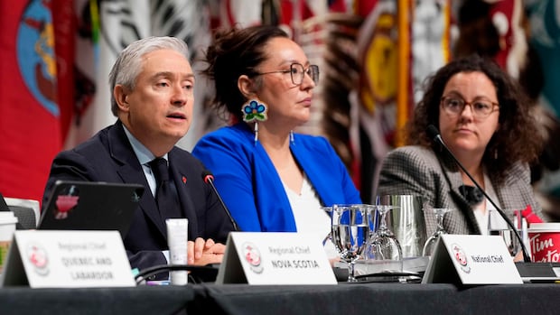 where-do-first-nations-rank-on-carneys-priority-list,-regional-chief-asks-ministers