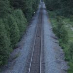 whos-responsible-for-train-wildlife-deaths?-bc.-and-ottawa-give-different-answers