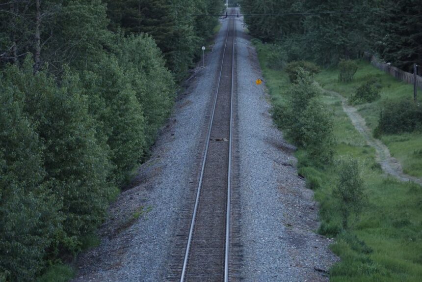 whos-responsible-for-train-wildlife-deaths?-bc.-and-ottawa-give-different-answers