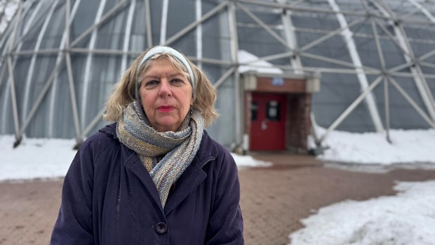 gym,-community-centre-could-replace-beloved-but-beleaguered-belltown-dome