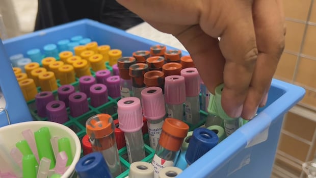 blood-collection-wait-times-cut-in-half-at-the-cape-breton-regional-hospital