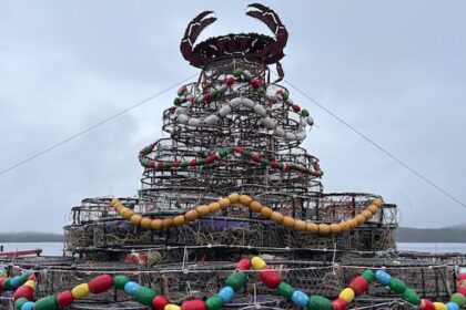 prince-rupert-celebrating-the-holidays-with-christmas-tree-made-out-of-crab-traps