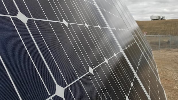 saskatoon-no-longer-a-leader-in-solar-power,-business-owner-says