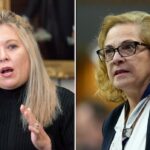 immigration-minister-lena-diab-spars-with-tory-critic-at-tense-meeting