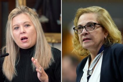 immigration-minister-lena-diab-spars-with-tory-critic-at-tense-meeting