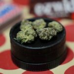 mi’kmaq-chiefs,-former-attorney-general-disappointed-with-ns.-cannabis-directive