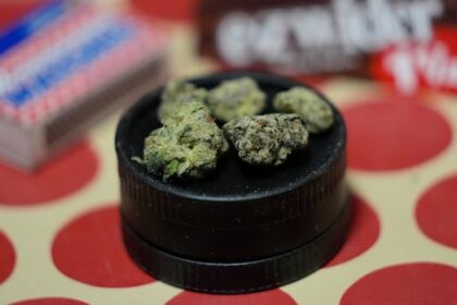 mi’kmaq-chiefs,-former-attorney-general-disappointed-with-ns.-cannabis-directive