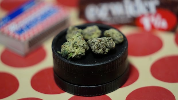 mi’kmaq-chiefs,-former-attorney-general-disappointed-with-ns.-cannabis-directive