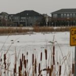 avian-flu-kills-dozens-of-niverville-geese
