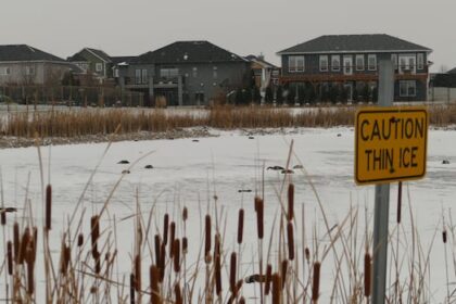 avian-flu-kills-dozens-of-niverville-geese