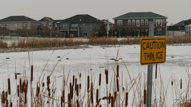 avian-flu-kills-dozens-of-niverville-geese