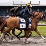 hastings-racecourse-ends-horse-racing-after-more-than-130-years-due-to-financial-strain