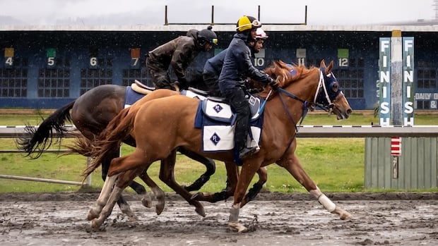 hastings-racecourse-ends-horse-racing-after-more-than-130-years-due-to-financial-strain