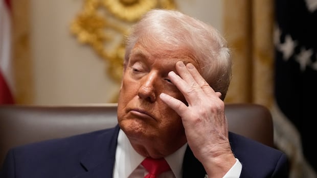 holding-my-breath:-fear-in-ottawa-after-trump-tirade-against-somali-immigrants