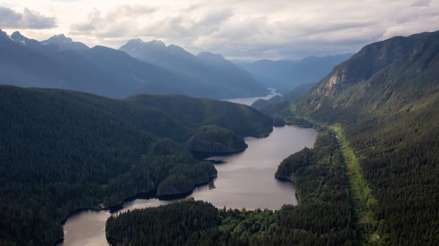 over-400-natural-resources-canada-jobs-at-risk,-union-says