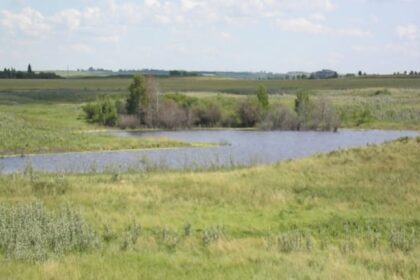 arboreal-name-proposed-for-next-saskatoon-neighbourhood