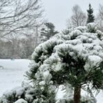 wintry-storm-bringing-snow,-high-winds-to-parts-of-nova-scotia