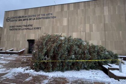 charlottetown-says-work-being-done-to-right-christmas-tree-knocked-down-by-wind-and-snow