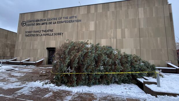 charlottetown-says-work-being-done-to-right-christmas-tree-knocked-down-by-wind-and-snow