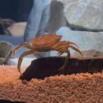 beaty-centre-for-marine-diversity-opens-in-halifax