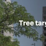 ottawa’s-tree-targets-tied-up-in-red-tape,-environmentalists-say