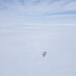 a-new-way-to-fight-climate-change:-cataloguing-the-dna-of-the-arctic-ocean