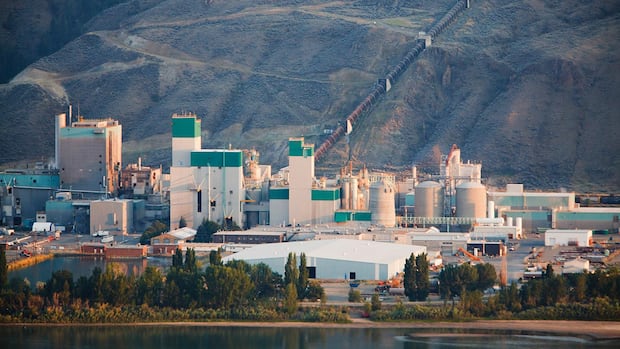 why-this-bc.-pulp-mill-wants-to-produce-hydrogen