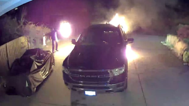 accused-bc.-extortionist-was-allegedly-in-canada-on-expired-student-visa