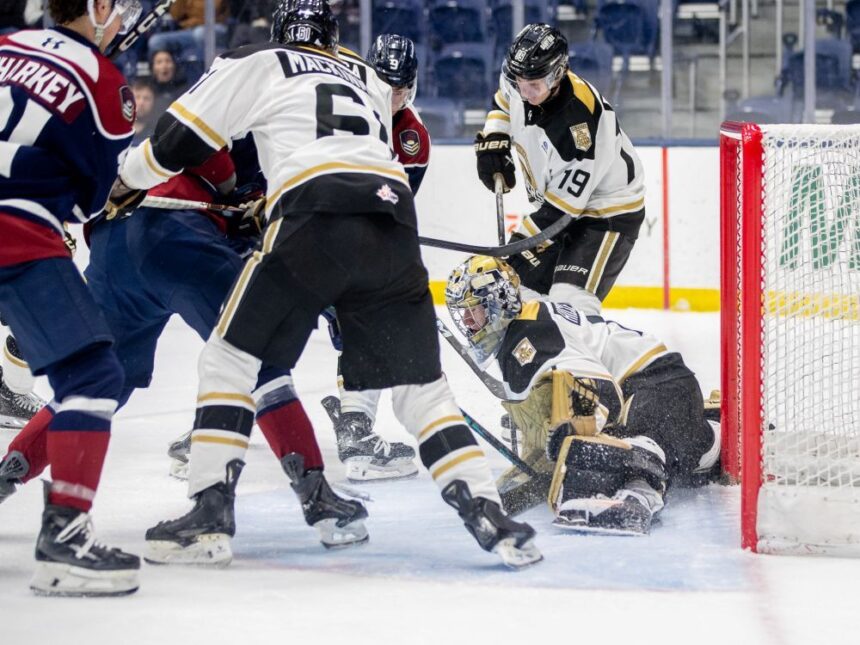 newfoundland-regiment-closes-gap-on-charlottetown-islanders-in-qmjhl-standings