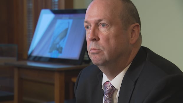 nb.-slow-to-act-on-violence-against-indigenous-women,-2slgbtq+-people,-watchdog-says