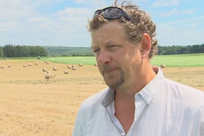 nb.-cattle-farmer-working-to-maintain-profit-margin-as-beef-prices-soar