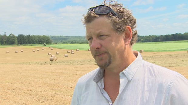 nb.-cattle-farmer-working-to-maintain-profit-margin-as-beef-prices-soar