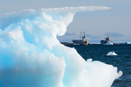 federal-fisheries-minister-decides-that-fish-stocks-in-nunavutbe-givento-non-inuit-group