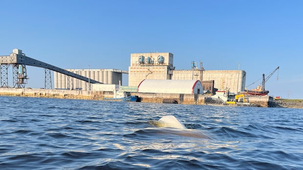 new-crown-corporation-will-ensure-indigenous-involvement-from-start-of-major-projects:-kinew