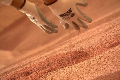 trump’s-threats-to-tariff-canadian-fertilizer-imports-could-hurt-sask.-potash-industry