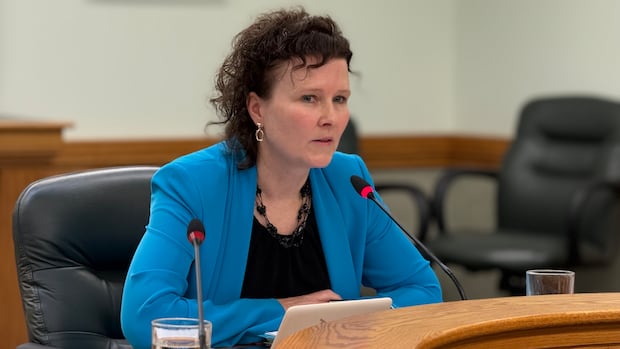 auditor-warns-sask.-may-not-meet-target-for-child-care-spaces,-recommends-gth-changes-after-costco-dispute
