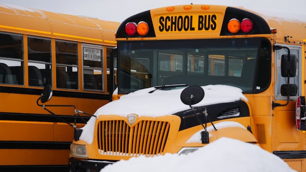 winter-blast-cancels-school-bus-service,-classes-in-parts-of-southern-manitoba