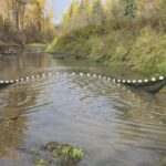prince-george-conservation-group-fixes-deadly-problem-for-nechako-river-fish