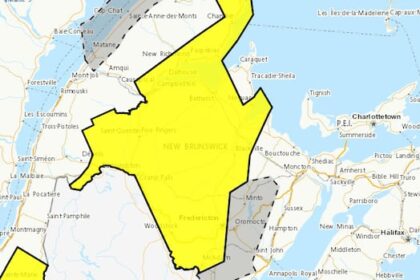 snow-up-to-20-cm-expected-for-central,-northwestern-nb.