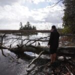 cut-through-a-wetland:-how-ontarios-losing-a-critical-ecosystem