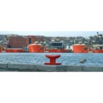 op-ed:-it’s-time-to-bring-it-home-building-nl’s-future